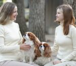 duk apie natūralias medžiagas