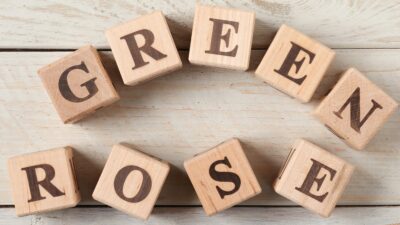 kaip dirba green rose